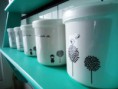/album/latas/latas7-jpg/